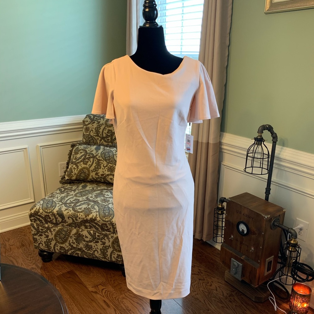 Calvin Klein Blush Pink Career Dress.